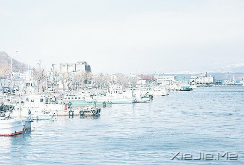 早安心语：音乐，开心时入耳，伤心时入心 (5)