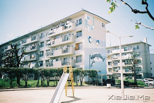 早安心语：音乐，开心时入耳，伤心时入心 (9)