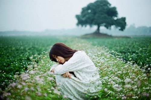 早安心语：最懂我的，始终还是我自己 (9)