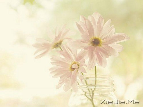 Щ£ֻԼ (3)