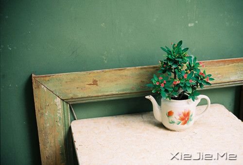 晚安心语：人最软弱的地方，是舍不得 (7)