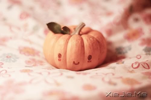 晚安心语：人最软弱的地方，是舍不得 (10)