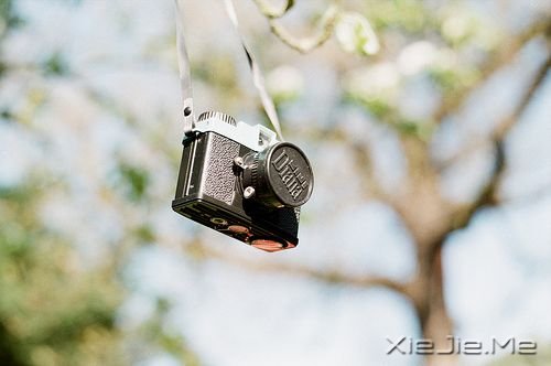 晚安心语：人最软弱的地方，是舍不得 (2)