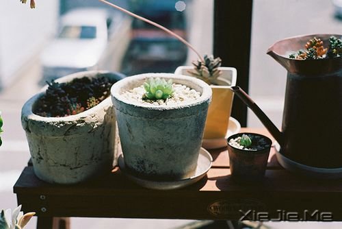 晚安心语：有些谎言，美丽的让你不忍揭穿 (2)
