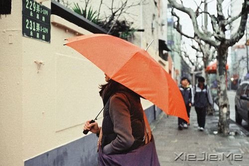 晚安心语：有些谎言，美丽的让你不忍揭穿 (4)